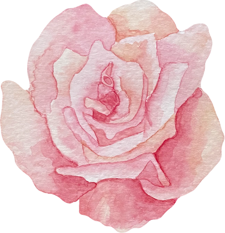 Watercolor Rose Illustration